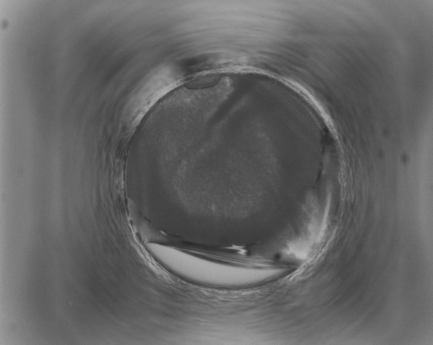 X0000087671289200705181655