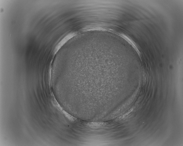 X0000087671290200705181655