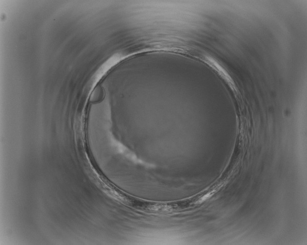 X0000087671291200705181655