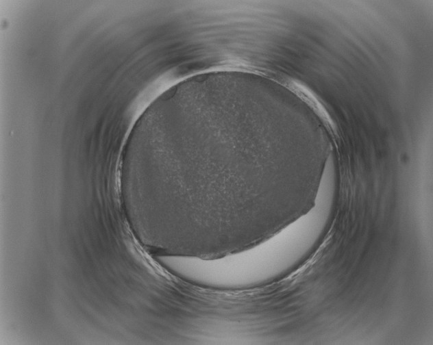 X0000087671292200705181655