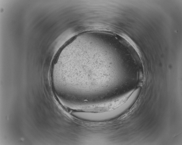 X0000087671293200705181655