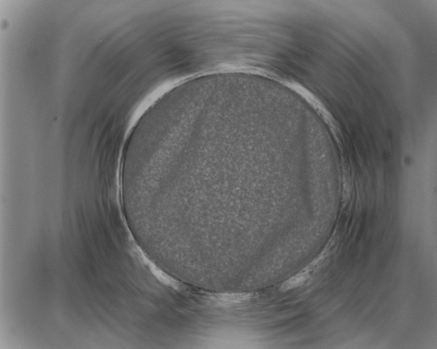 X0000087671294200705181655