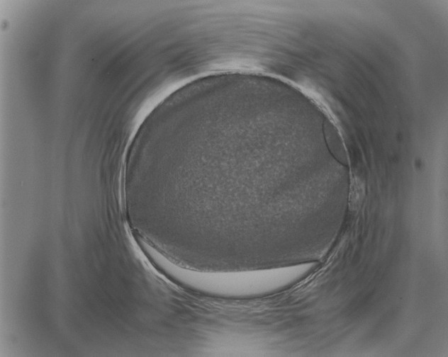 X0000087671295200705181655