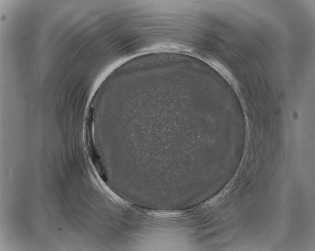 X0000087671296200705181655