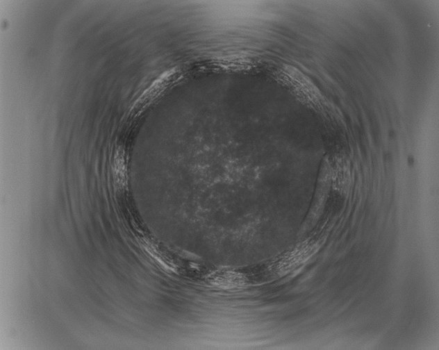 X0000087671298200705181654