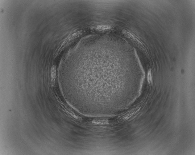 X0000087671299200705181654