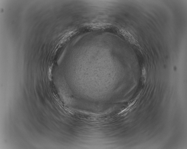 X0000087671300200705181654