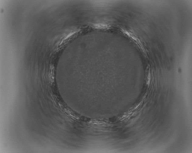 X0000087671301200705181654