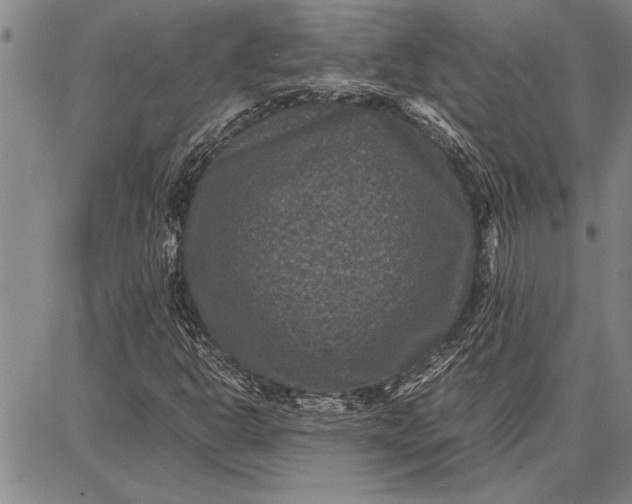 X0000087671302200705181654