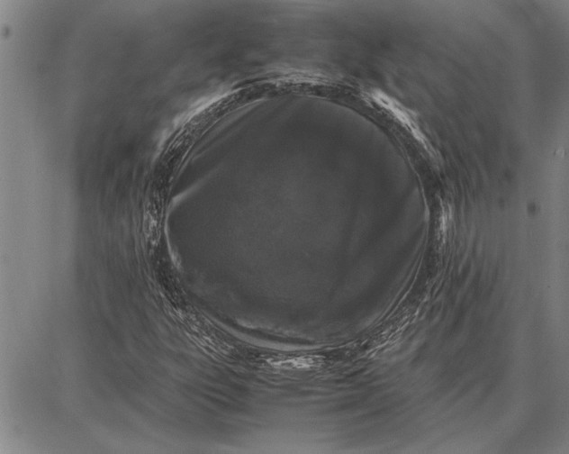 X0000087671303200705181654