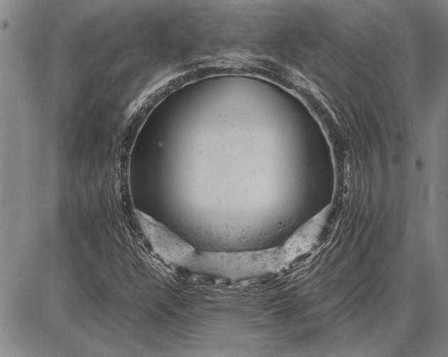 X0000087671304200705181654