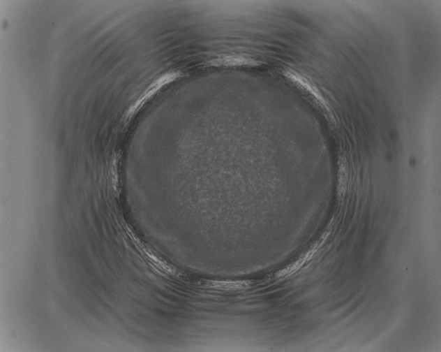 X0000087671305200705181654