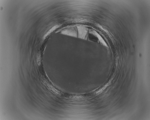 X0000087671306200705181654