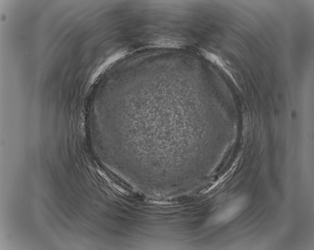 X0000087671307200705181654