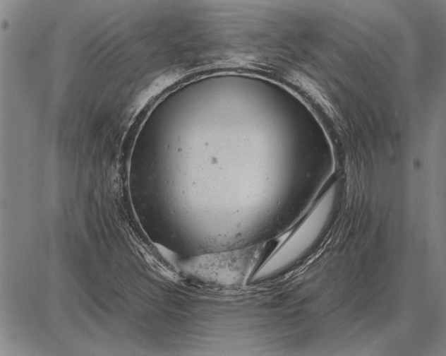 X0000087671308200705181654