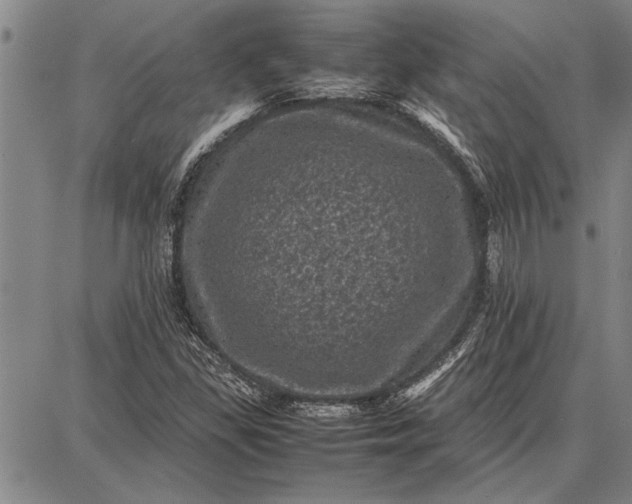 X0000087671309200705181655