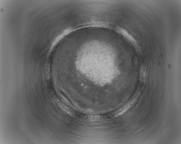 X0000087671310200705181655