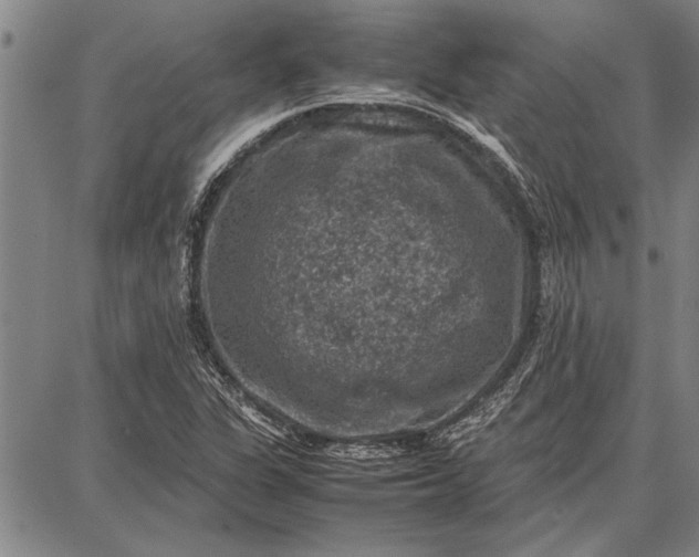 X0000087671311200705181655