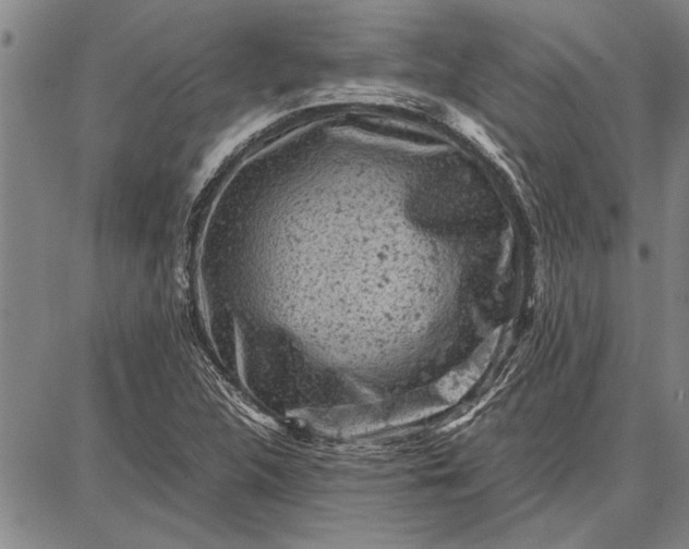 X0000087671312200705181655