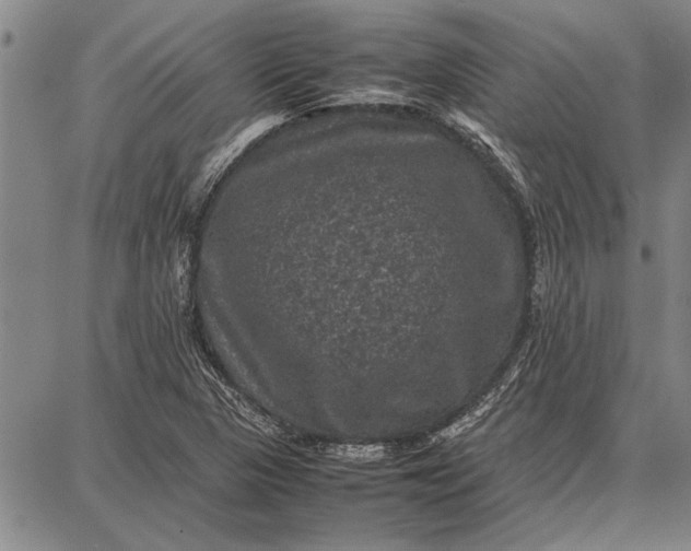 X0000087671313200705181655