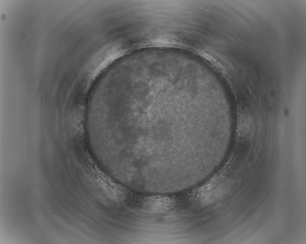 X0000087671314200705181655