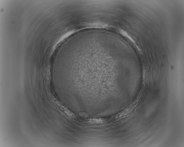 X0000087671315200705181655