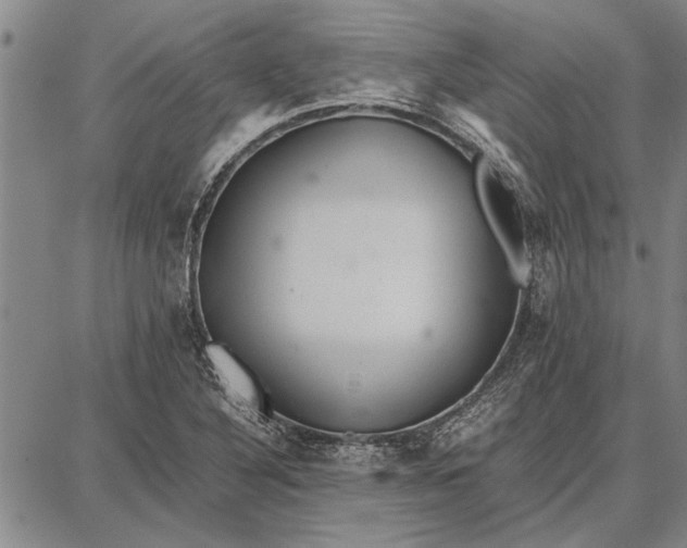 X0000087671316200705181655