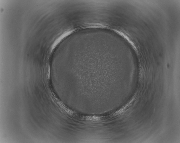 X0000087671317200705181655