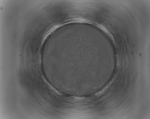 X0000087671318200705181655