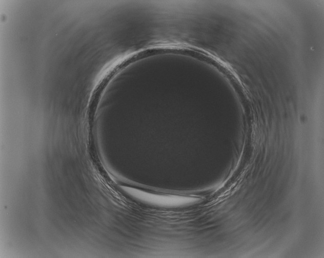 X0000087671319200705181655