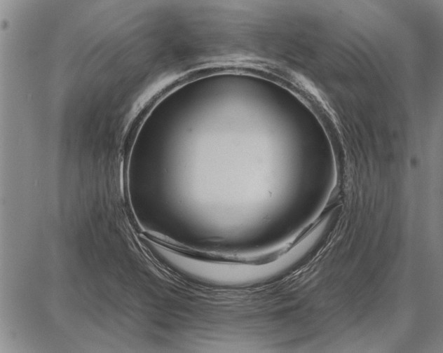 X0000087671320200705181655