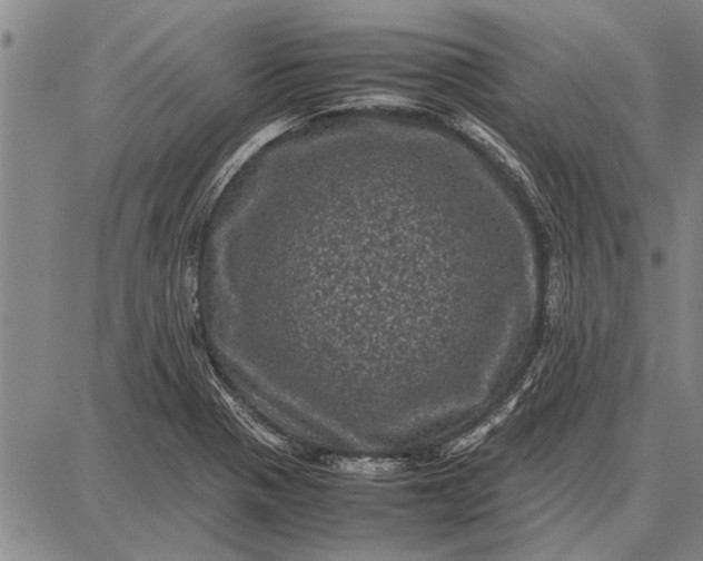 X0000087671321200705181655