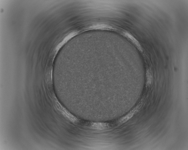 X0000087671322200705181655