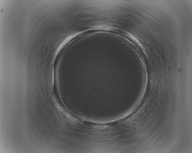 X0000087671323200705181655