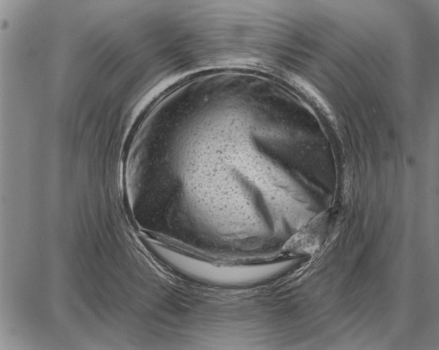 X0000087671324200705181655