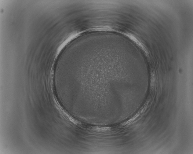 X0000087671325200705181655