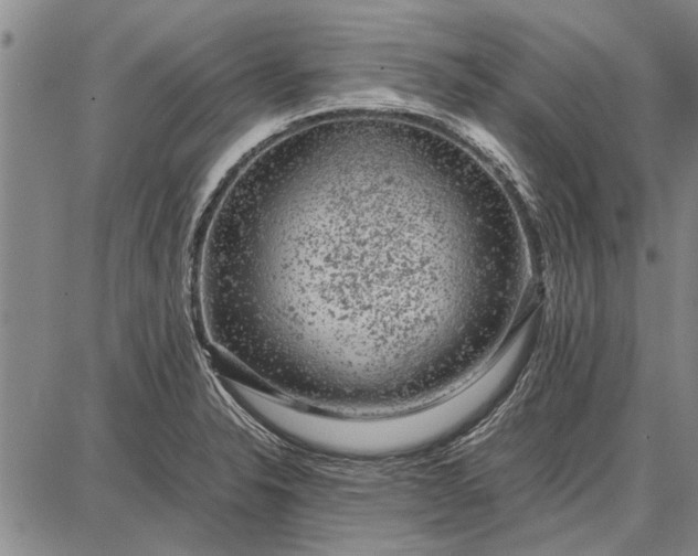 X0000087671326200705181655