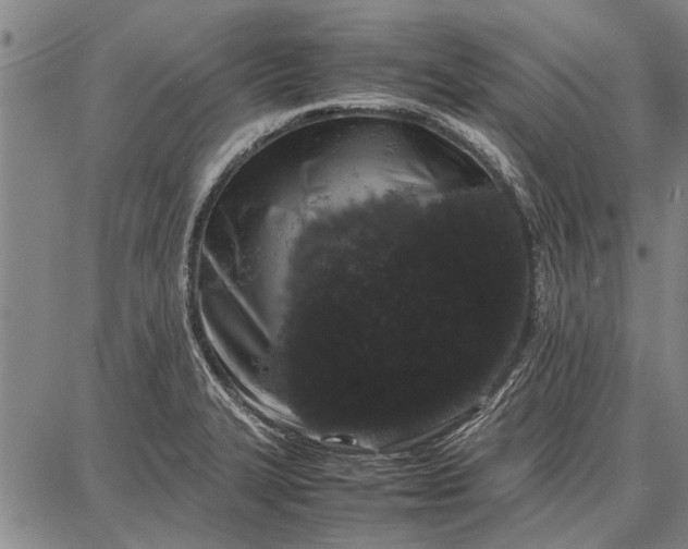 X0000087671327200705181655