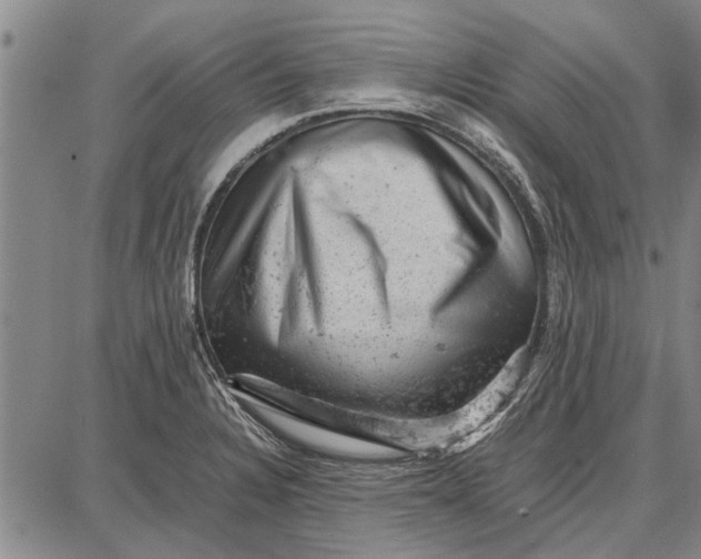 X0000087671328200705181655