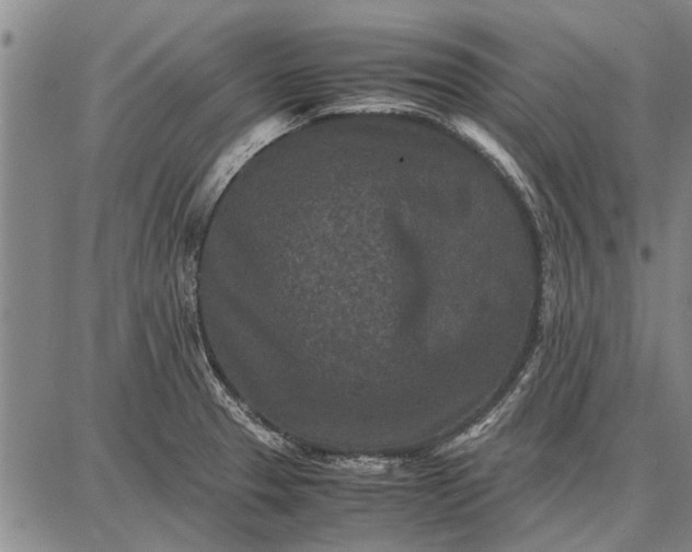 X0000087671329200705181655