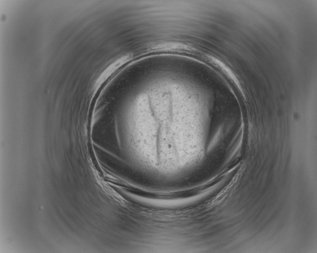 X0000087671330200705181655