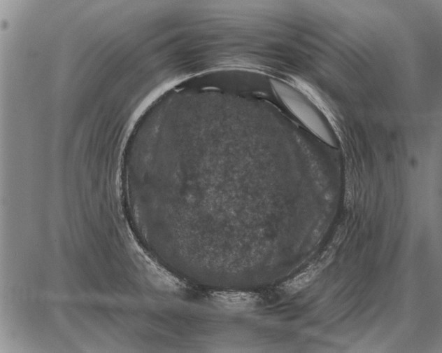 X0000087671331200705181655