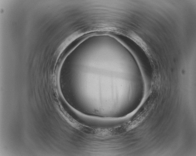 X0000087671332200705181655