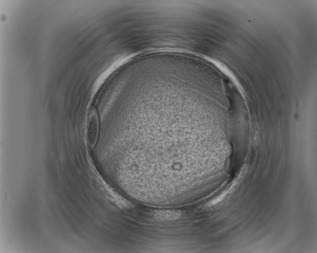 X0000087671333200705181655