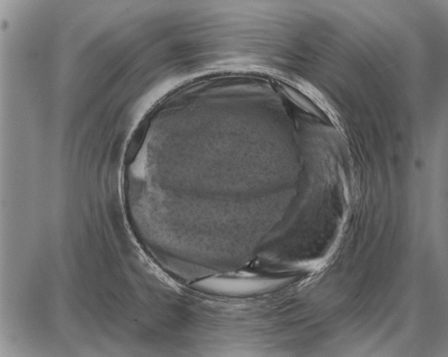 X0000087671334200705181655