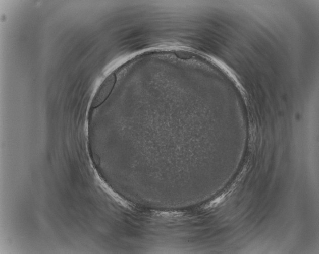 X0000087671335200705181655