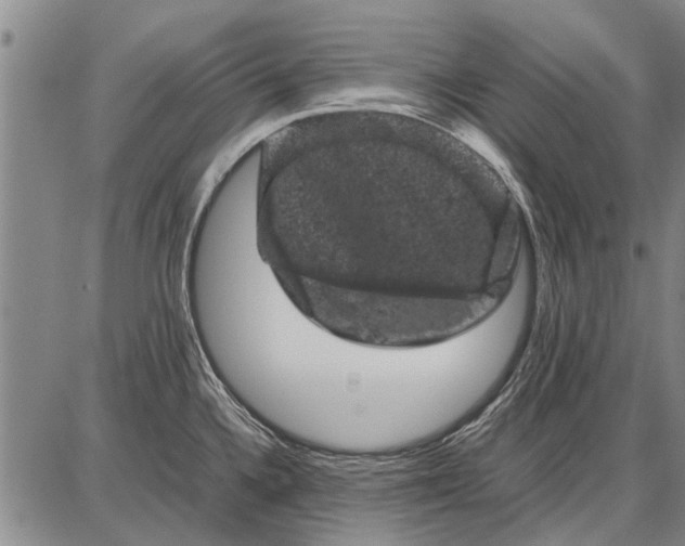 X0000087671336200705181655