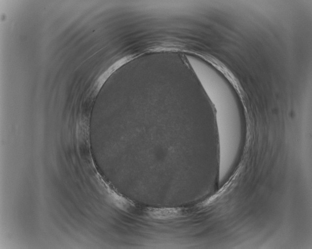 X0000087671337200705181655