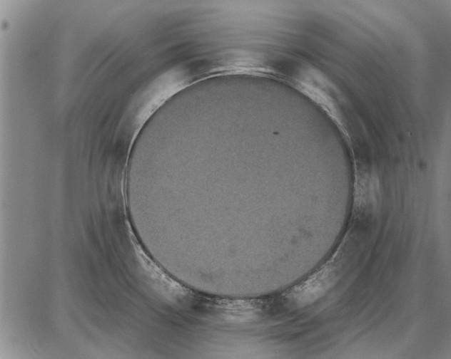 X0000087671338200705181655