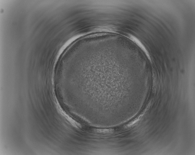 X0000087671339200705181655